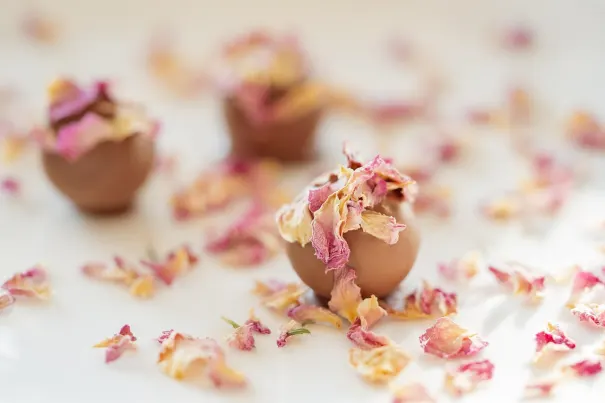 Kazino Chilli Spins Android/iOS Lietotne